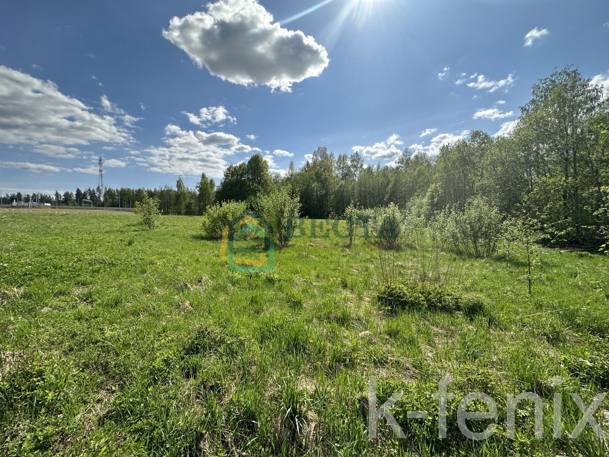 участок 19 сот